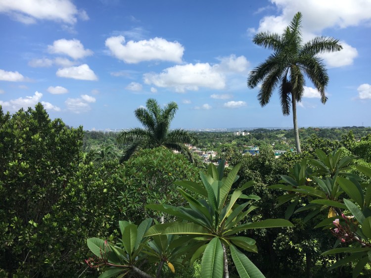 Ernest Hemingway's House, Cuba